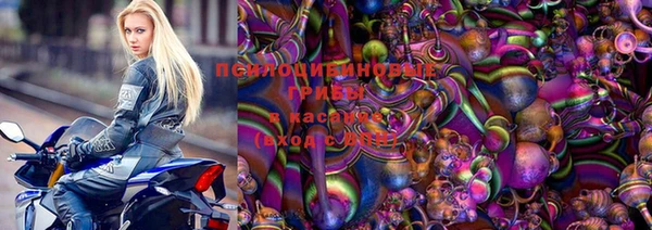 таблы Надым